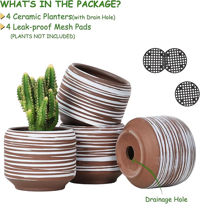 Mini Succulent Planter Set – 3.7 Inch Ceramic Pots with Drainage for Indoor Plants, Small Decorative Flower Pots for Cactus and House Plants, Set of 4-Ruum Studio Home