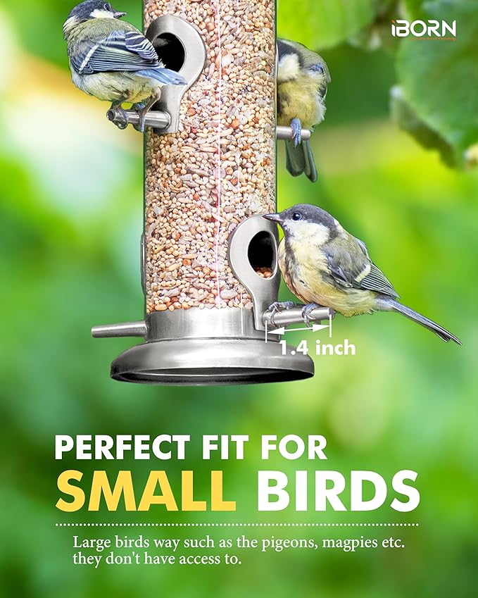 iBorn Metal Bird Feeders 6 Ports Hanging Wild Bird Seed Feeder for Mix Seed Blends, Niger Seed Feeder, Sunflower Heart, Birdbath, Heavy Duty All Metal Nickle Finishing 14 Inch 6Port-Ruum Studio Home