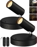 EZVALO Spotlights Indoor with Remote, 5500mAh Rechargeable Picture Lights, Wireless LED Uplighting with Timer＆Dimmable, 3CCT, Display Lights for Plant Painting, Artwork, Accent Lighting (2Pack-Black)-Ruum Studio Home