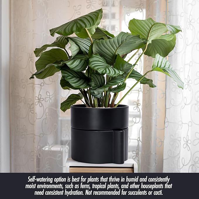 Phoenix Vine 8 Inch Self-Watering Planter Pot with Terracotta Insert, Deep Water Reservoir, and Ceramic-Alike BPA-Free Plastic Planter Pot for Plant, Modern Planter for Houseplants, Black, 53-A-T-2-Ruum Studio Home