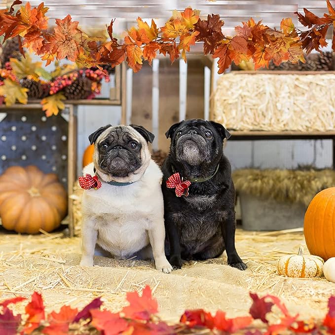 DearHouse 2 Pack Fall Maple Leaf Garland - 5.9Ft/Piece Hanging Vine Artificial Autumn Foliage for Thanksgiving, Home, Wedding, Fireplace, Party, Christmas Decor (Light Orange)-Ruum Studio Home