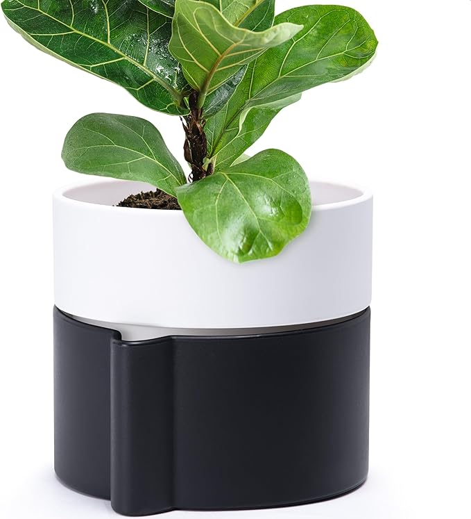 8 Inch Self-Watering Planter Pot with Terracotta Insert, Deep Water Reservoir, and Ceramic-Alike BPA-Free Plastic Planter Pot for Plant, Modern Planter for Houseplants, Black/White, 53-C-T-7-Ruum Studio Home