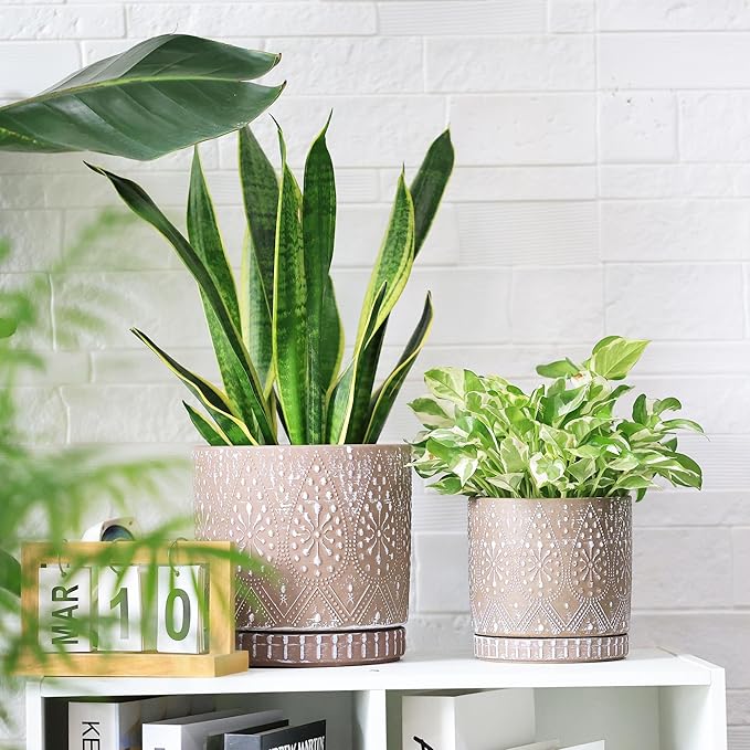 8 Inch + 6 Inch Plant Pot with Drainage Holes and Saucers, Indoor Ceramic Planter for Plants Succulent Orchid Flower Pots-Ruum Studio Home