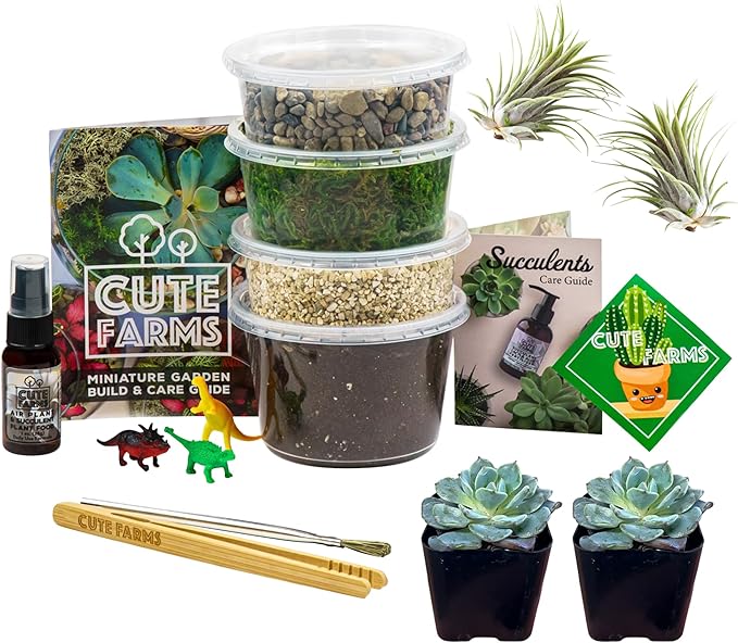 Cute Farms Terrarium Starter Kit | Moss, Vermiculite, Soil, Pebbles, Plant Food, & Finishing Tools (Medium Kit + Live Plants)-Ruum Studio Home