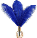 THARAHT Blue Ostrich Feathers 12pcs Large Natural Bulk 14-16Inch 35cm-40cm for Wedding Party Centerpieces Halloween and Home Decoration Feathers-Ruum Studio Home