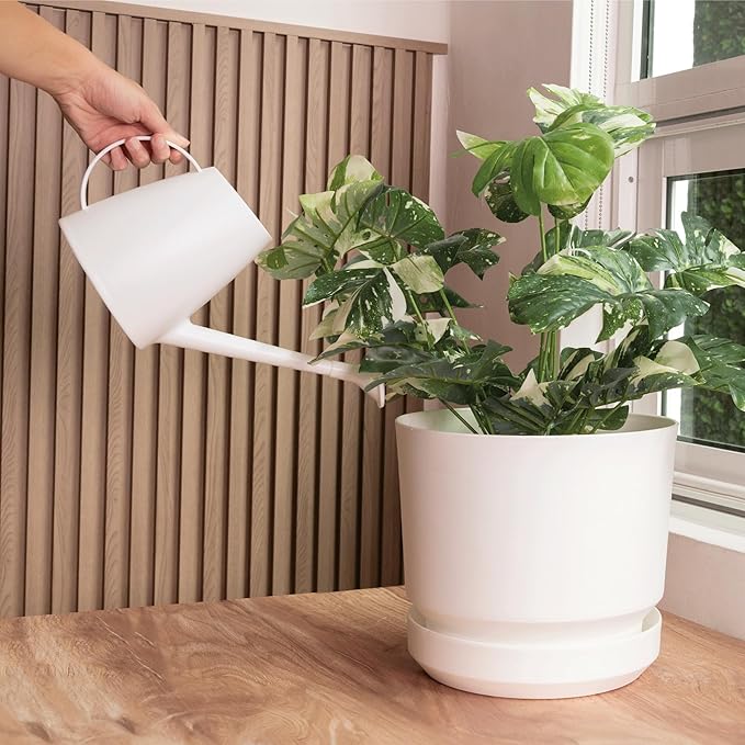 Elly Décor 8 inch Plastic Cylinder Planter Pot with Self-Watering Saucer and Drainage Hole,Lightweight & Extremely Durable, 8"x 8", White-Ruum Studio Home