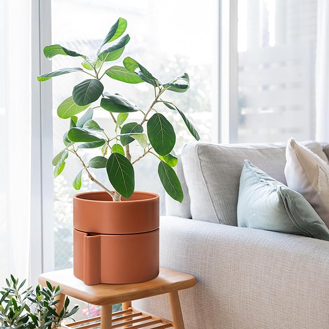 8 Inch Self-Watering Planter Pot with Terracotta Insert, Deep Water Reservoir, and Ceramic-Alike BPA-Free Plastic Planter Pot for Plant, Modern Planter for Houseplants, Terracotta, 53-A-T-3-Ruum Studio Home