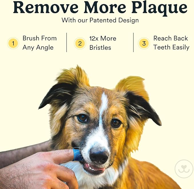 Jasper Dog Toothbrush, 360º Dog Tooth Brushing Kit, Cat Toothbrush, Dog Teeth Cleaning, Dog Finger Toothbrush, Use with Dog Toothpaste - Clear 2-Pack-Ruum Studio Home