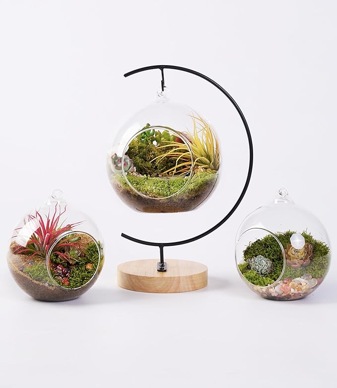 15-Piece Terrarium Kit with Live Moss – DIY Glass Globe Set with Tools, Soil, Stones & Spray Bottle – Indoor Mini Garden Gift for Plant Lovers, Home Decor & Zen Craft-Ruum Studio Home