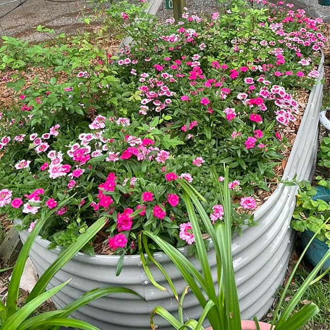 1 Pack 8x3x2FT Galvanized Raised Garden Bed Kit Oval Metal Ground Planter Box Outdoor Bottomless Planter Raised Beds for Vegetables Flowers Herbs Fruits, Gray-Ruum Studio Home