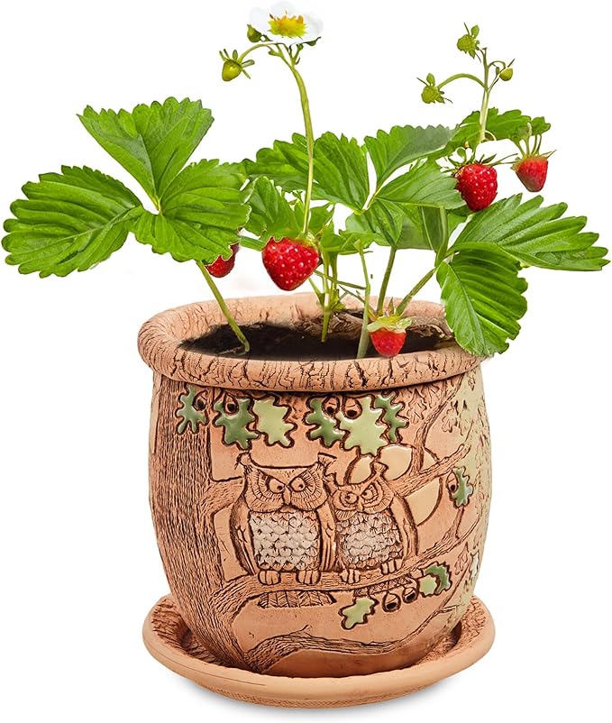 Ceramic Pot with Drainage Hole and Saucer, Plant Pots, Modern Decorative Planters for House Plants Indoor Flowers Plants, Cute Flower Pot - Gifts (Owls (1.6 L))-Ruum Studio Home