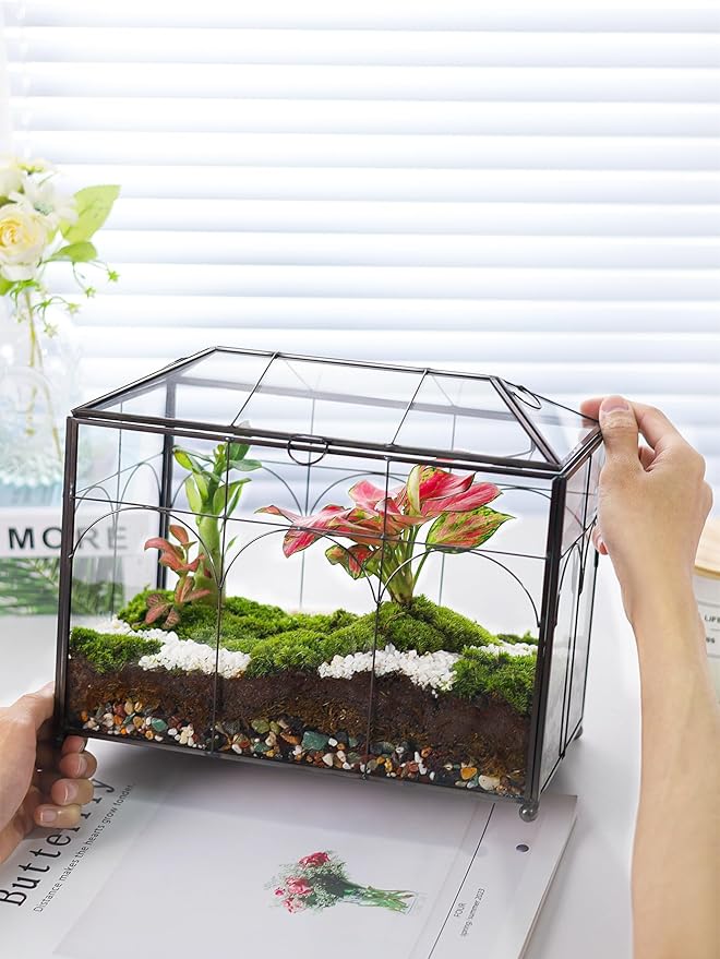 Handmade Glass Planter Terrarium with Lid, Indoor Tabletop Centerpiece Display Box Modern Decor DIY Gift Plant Terrarium Container for Succulent Cacti Air Plants Flower (Black)-Ruum Studio Home