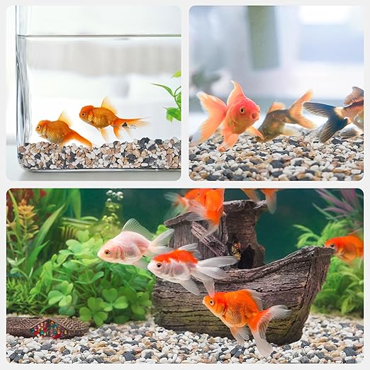 5 lbs Small Rocks for Plants, 1/5 Inch Pebbles for Indoor Plants, Natural Decorative Pea Gravel for Aquarium, Fish Tank, Terrarium, Succulents, Bamboo Plants, Vases, Cactus, Crafts-Ruum Studio Home