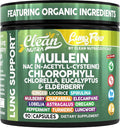 Clean Nutra Mullein NAC Supplement Spirulina Chlorella Ginger Licorice Mulberry Astragalus Root Oregano Turmeric with Chlorophyll Berries Detox Cleanse Respiratory Lung Health 90 Capsules-Ruum Studio Home