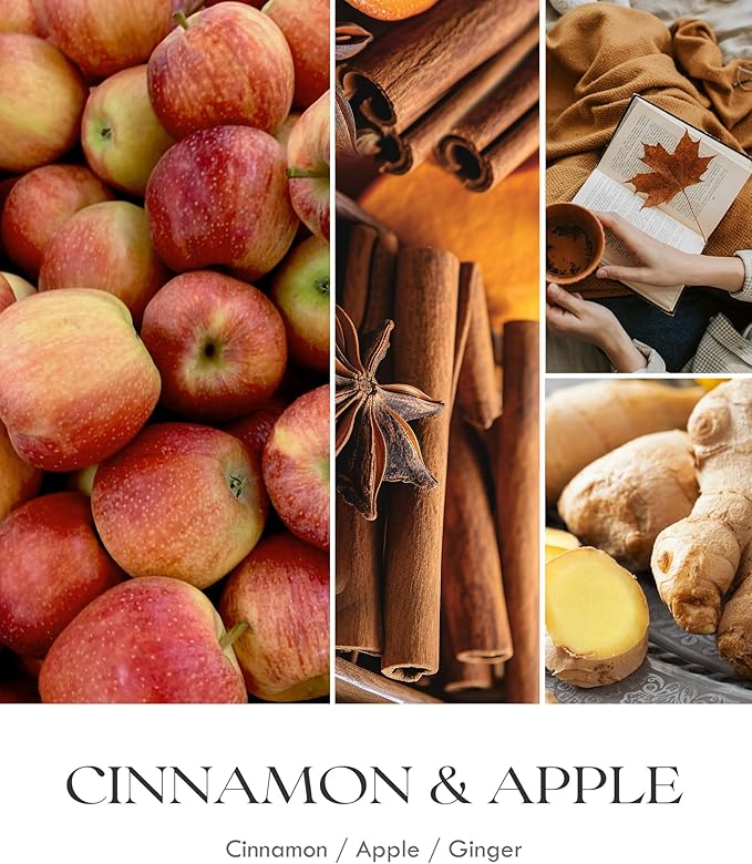AOOVOO Apple Cinnamon Candles - 9 oz Scented Candles, Aromatherapy Candle, Soy Candle for Home Scented-Ruum Studio Home