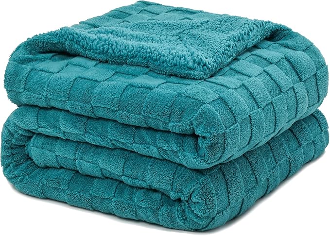 Pawque Super Soft Cozy Throw Blanket Twin Size for Couch Bed, Fluffy Sherpa Fleece Reversible Thick Warm Fuzzy Blanket for All-Season, 3D Checkered Jacquard Decorative Blankets, Teal Green, 60" x 80"-Ruum Studio Home