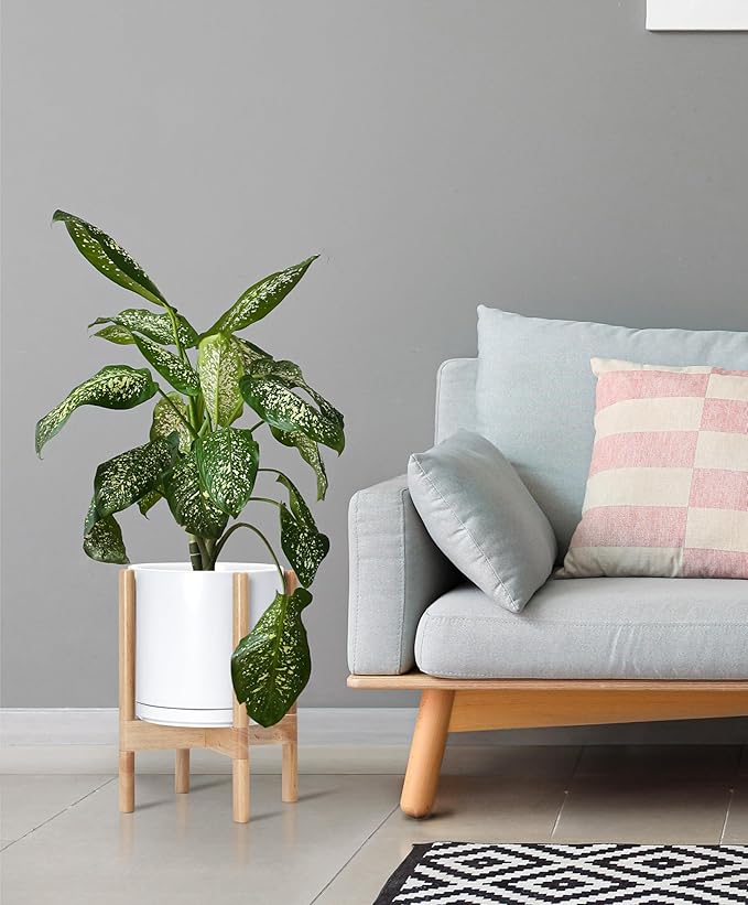 D'vine Dev Ceramic Planter with Natural Stand - 10 Inch Modern Round Flower Pot with Wood Planter Holder, White, 55-B-K-1-Ruum Studio Home