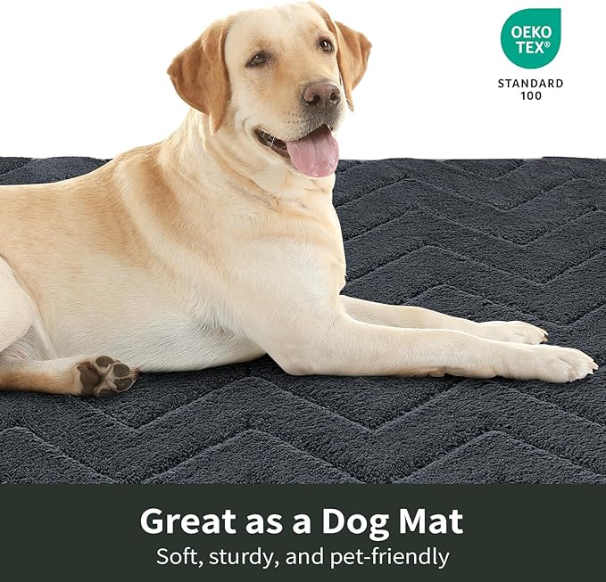 Stiio Dirt Trapper Door Mat 32x47 Inches, Front Doormat Indoor Outdoor Entrance Low Pile, All-Season, All-Weather Absorbent Entry Rug, Washable Non Slip Rug for Entryway, Dark Grey-Ruum Studio Home