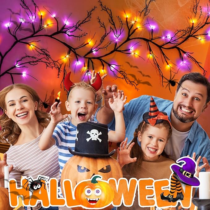 [8 Modes & Timer] Halloween Decorations Willow Vine Twig Garland, 6 FT 54LED Willow Vine Twig Lights Orange Purple LED Lights for Indoor Wall Fireplace Halloween Decorations-Ruum Studio Home