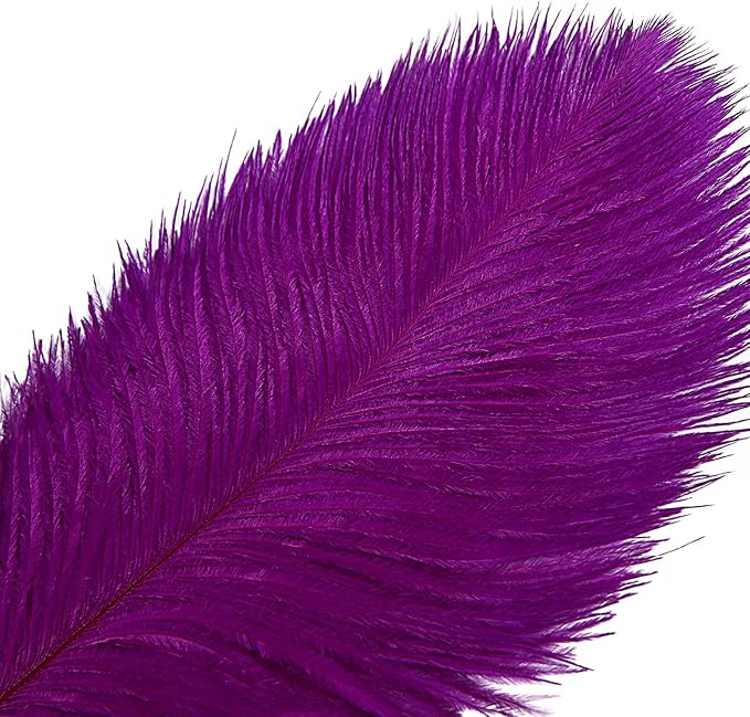 THARAHT Purple Ostrich Feathers 12pcs Large Natural Bulk 20-22Inch 50cm-55cm for Wedding Party Centerpieces Easter Gatsbi and Decoration Feather-Ruum Studio Home