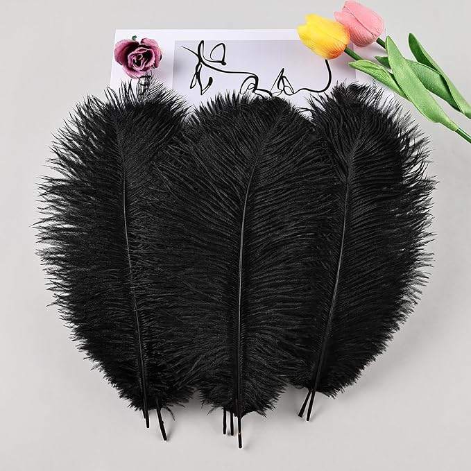 THARAHT Black Ostrich Feathers 12pcs Natural Bulk 8-10Inch 20cm-25cm for Crafts Wedding Party Centerpieces Halloween and Home Decoration Feathers-Ruum Studio Home