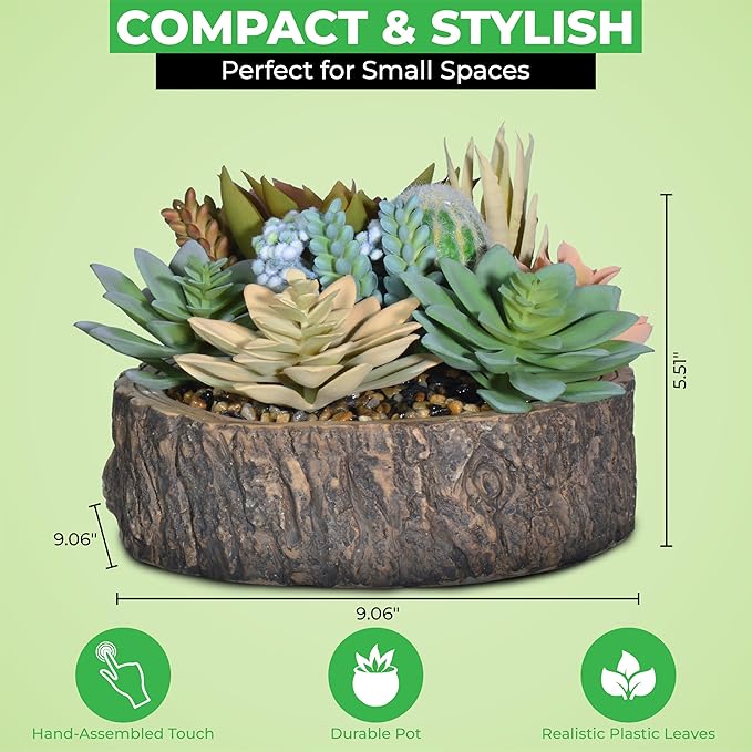 Premium Assorted Artificial Succulent Collection - Large Real Touch Artificial Cactus, Aloe Vera & Succulent Plants Artificial with Pots for Home Office Indoor (Artificial Tree Stump - Pot)-Ruum Studio Home