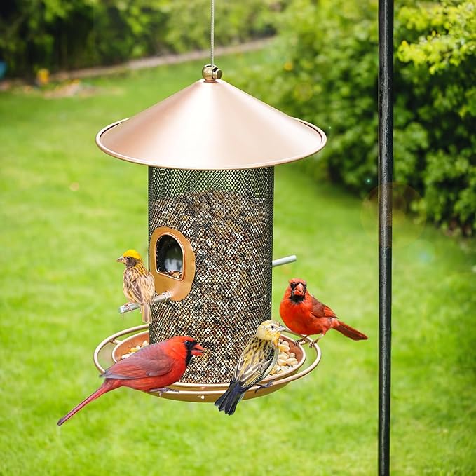 Bird Feeder for Outdoor, Metal Wild Bird Feeder Hanging Outside, 7.5" Copper Roof and 360 Degree Feeding Tray with 2 Extra Feeding Ports, 3 Lbs Bird Seeds Capacity-Ruum Studio Home