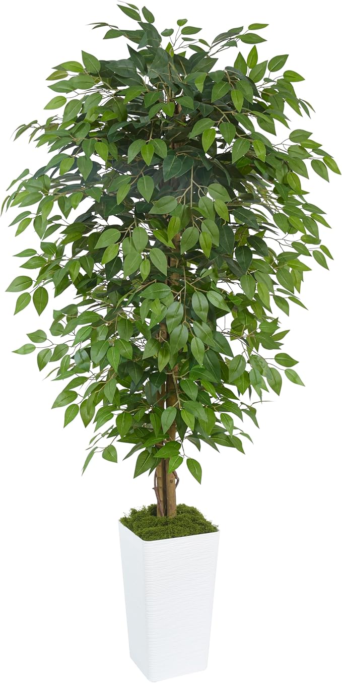 Artificial Ficus Tree 6FT Faux Floor Tree with Planter UV Resistant Potted Fake Silk Plant, Real Wood Trunk-Indoor Outdoor Lifelike Fake Ficus Tree for Home, Living Room Bedroom Topiary Tree-Ruum Studio Home