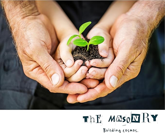 THE MASONRY | Acrylic Terrarium for Isopod Enclosure | 8"x4"x4" | Sling Tarantula Enclosure and Bug Tank | Small Spider Habitat | Terrarium Pre-Assembled with Magnetic Lock-Ruum Studio Home