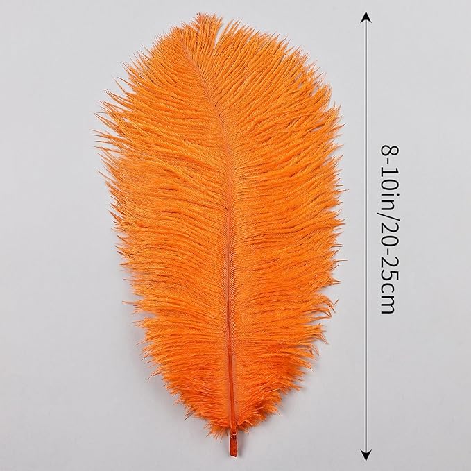 THARAHT Orange Ostrich Feathers 24pcs Natural Bulk 8-10Inch 20cm-25cm for Crafts Wedding Party Centerpieces Halloween and Home Decoration Feathers-Ruum Studio Home