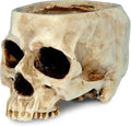 READAEER Skull Planter with Drain Hole, Resin Skull Shaped Flower Pot Candy Bowl, Gothic Decoration for Home Office Desk- White-Ruum Studio Home