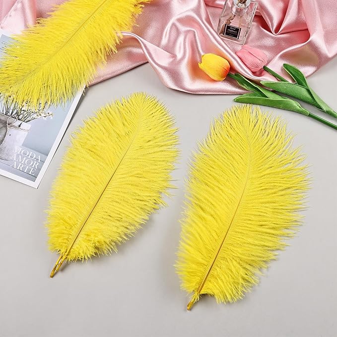 THARAHT Yellow Ostrich Feathers 12pcs Natural Bulk 8-10Inch 20cm-25cm for Crafts Wedding Party Centerpieces Halloween and Home Decoration Feathers-Ruum Studio Home
