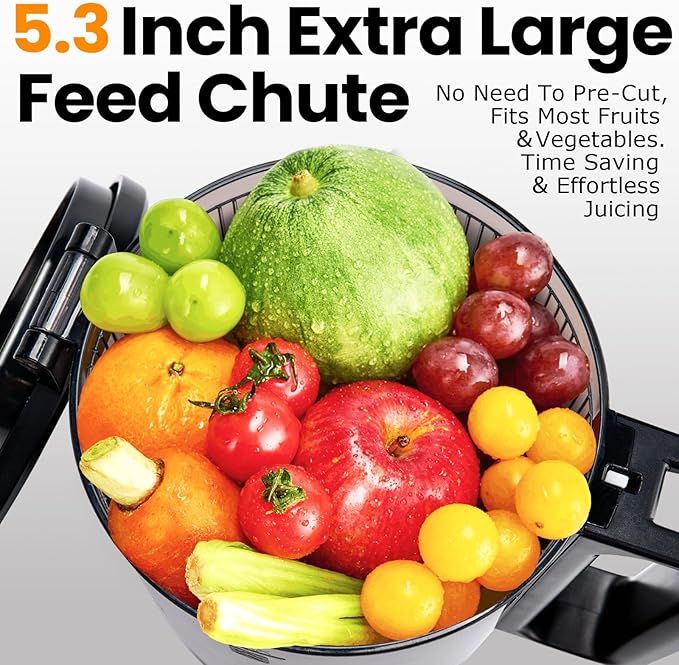 Cold Press Juicer,Slow Masticating Juicer Machines with 5.3" Large Feed Chute for Most Fruits and Vegetables,Easy to Clean Lemon Orange juicer with 250W Motor and High Juice Yield (Obsidian black)-Ruum Studio Home