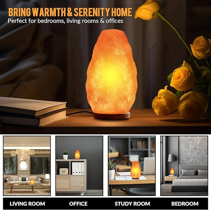 Himalayan Glow Salt Lamp with Dimmer Switch 5-7 lbs-Ruum Studio Home