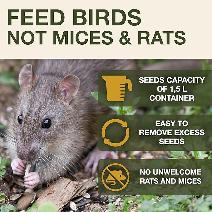 SWISSINNO No Mess Bird Feeder Davos Smart Birds - No Spill Bird Feeder for Outdoor - Mice & Rat Proof - Robust & Reliable for Hanging - Dual Food Chambers - Made in EU - Green-Ruum Studio Home