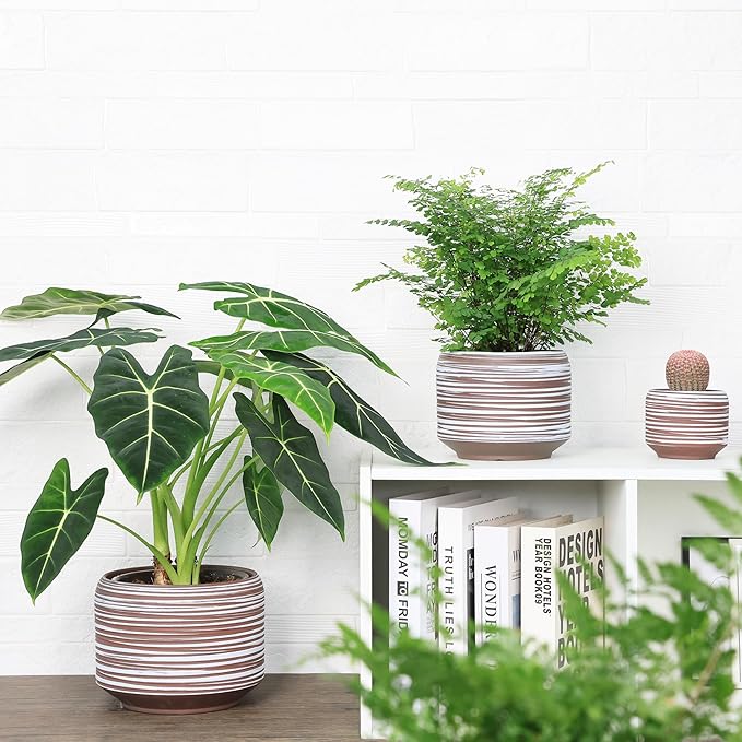 8 Inch + 6 Inch Ceramic Plant Pots Indoor with Drainage – Flower Pot Set, Decorative Indoor Planters for House Plants and Garden Use-Ruum Studio Home
