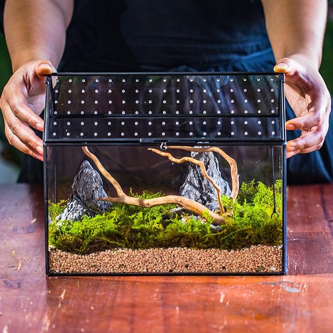 NCYP House Shape Glass Terrarium with Acrylic Lid - 10.2x5.9x8.2 Inches Large Geometric Box for Snails, Ferns, Succulents, Air Plants, Indoor Tabletop Decor, Handmade (Terrarium Only)-Ruum Studio Home