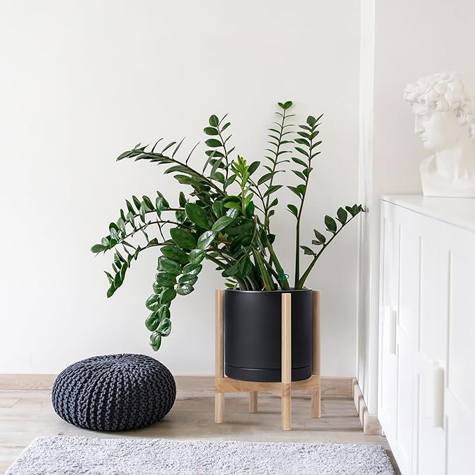 D'vine Dev Ceramic Planter with Natural Stand - 12 Inch Modern Round Flower Pot with Wood Planter Holder, Black, 55-B-J-2-Ruum Studio Home