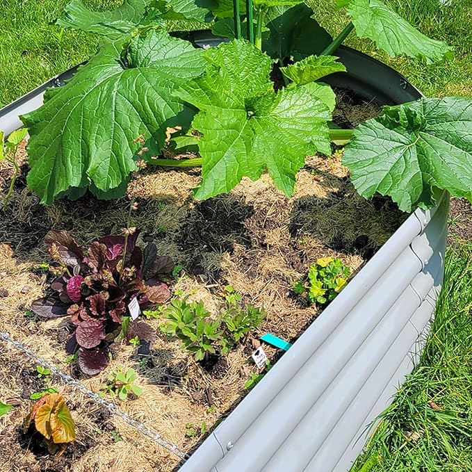 1 Pack 8x3x1.5FT Galvanized Raised Garden Bed Kit Oval Metal Ground Planter Box Outdoor Bottomless Planter Raised Beds for Vegetables Flowers Herbs Fruits, Gray-Ruum Studio Home