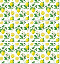 Lemon Placemats Set of 6 Summer Plastic Table Mats Yellow Lemonade Theme Place Mats Washable Vinyl Rustic Holiday Table Decoration for Indoor Outdoor Party Kitchen Dining-Ruum Studio Home