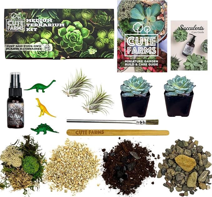 Cute Farms Terrarium Starter Kit | Moss, Vermiculite, Soil, Pebbles, Plant Food, & Finishing Tools (Medium Kit + Live Plants)-Ruum Studio Home