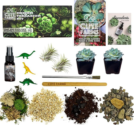Cute Farms Terrarium Starter Kit | Moss, Vermiculite, Soil, Pebbles, Plant Food, & Finishing Tools (Medium Kit + Live Plants)-Ruum Studio Home