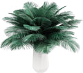 THARAHT Blackish Green Ostrich Feathers 12pcs Natural Bulk 8-10Inch 20cm-25cm for Crafts Wedding Party Centerpieces Mardi Gras Decoration Feather-Ruum Studio Home