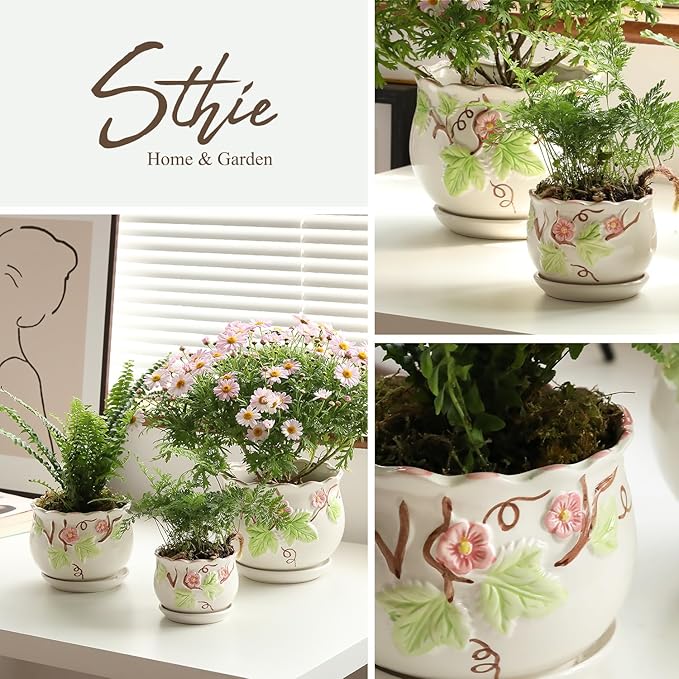 Ceramic Plant Pots with Drainage Holes and Saucers, Round Flower Pots for Indoor Plant, 3.9/5.2/6.7 Inches Small Flower Planters Set of 3-Ruum Studio Home