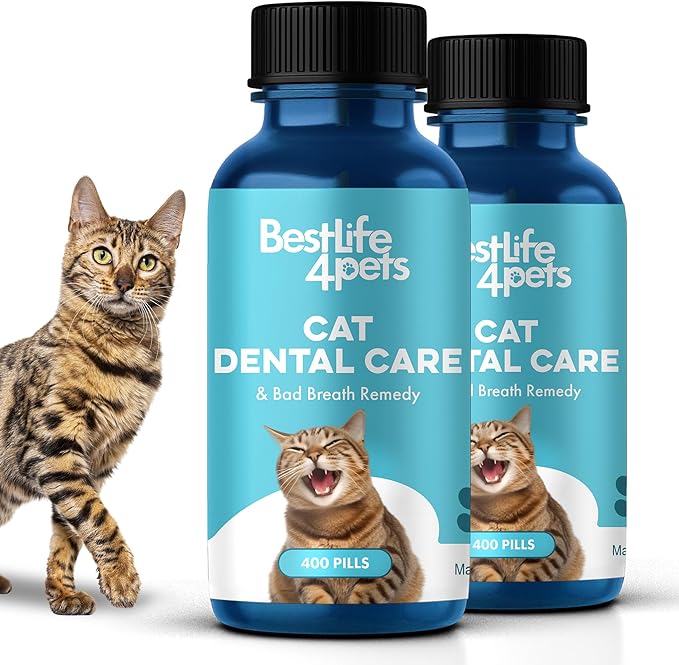 Cat Bad Breath & Oral Health Remedy, Natural Dental Care Cats Teeth, Mouth and Gums, Easy to Use Daily Supplement for Stomatitis, Gingivitis, Plaque & Tartar Control for Cats, 800 Small Pills-Ruum Studio Home