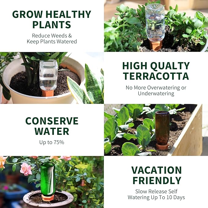 Large Terracotta Plant Watering Spikes, Automatic Plant Waterer Outdoor | Indoor Use, Vacation Clay Watering Devices System, Slow Release Self Watering Planter Insert, 6 Pack-Ruum Studio Home