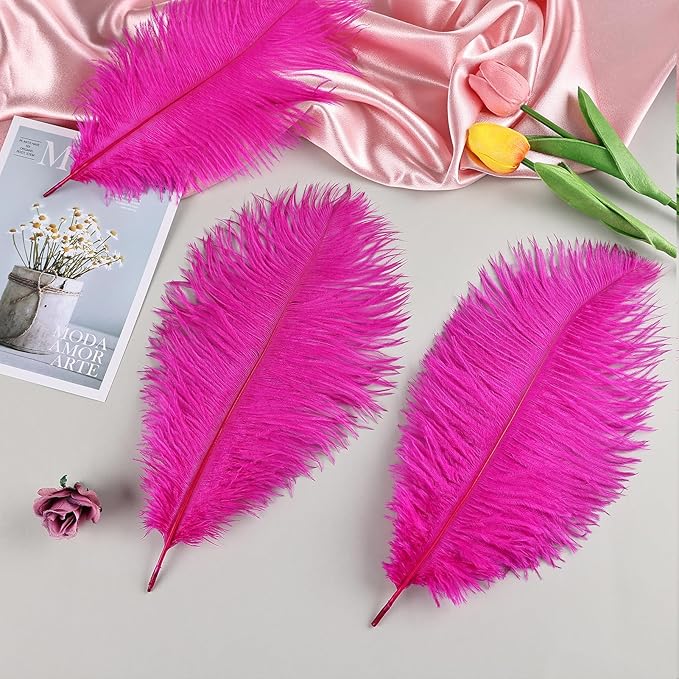 THARAHT Hot Pink Ostrich Feathers 12pcs Natural Bulk 10-12Inch 25cm-30cm for Crafts Wedding Party Centerpieces Easter Gatsbi and Home Decoration Feathers-Ruum Studio Home