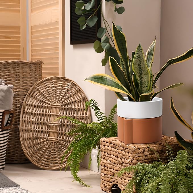 8 Inch Self-Watering Planter Pot with Terracotta Insert, Deep Water Reservoir, and Ceramic-Alike BPA-Free Plastic Planter Pot for Plant, Modern Planter for Houseplants, Terracotta/White, 53-B-T-6-Ruum Studio Home