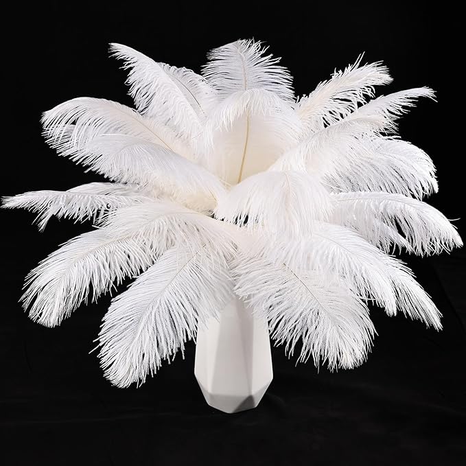 THARAHT White Ostrich Feathers 12pcs Natural Bulk 8-10Inch 20cm-25cm for Crafts Wedding Party Centerpieces Christmas Tree Decoration Feathers-Ruum Studio Home