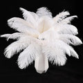 THARAHT White Ostrich Feathers 12pcs Natural Bulk 8-10Inch 20cm-25cm for Crafts Wedding Party Centerpieces Christmas Tree Decoration Feathers-Ruum Studio Home